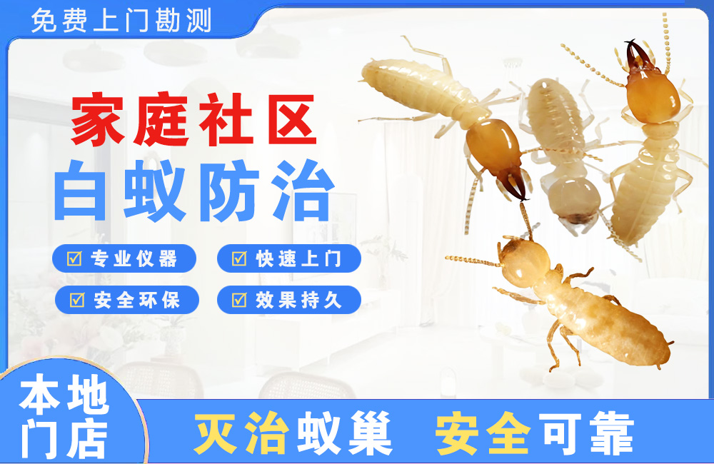 黔西南家庭社区白蚁防治