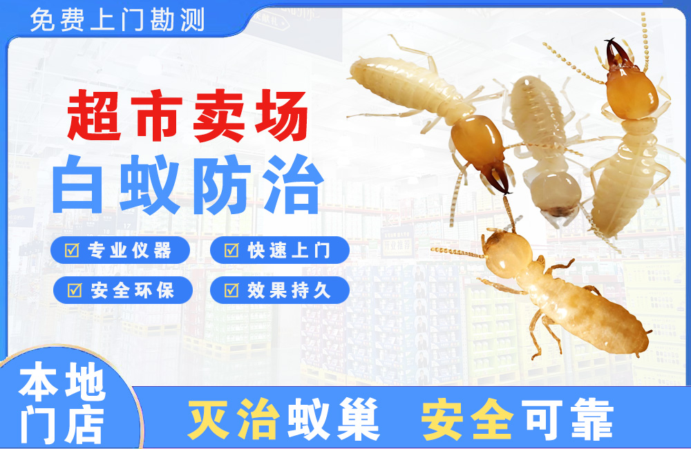 黔西南超市卖场白蚁防治