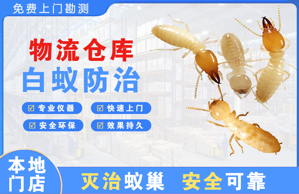 黔西南物流仓库白蚁防治