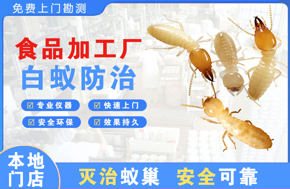 黔西南食品加工厂白蚁防治