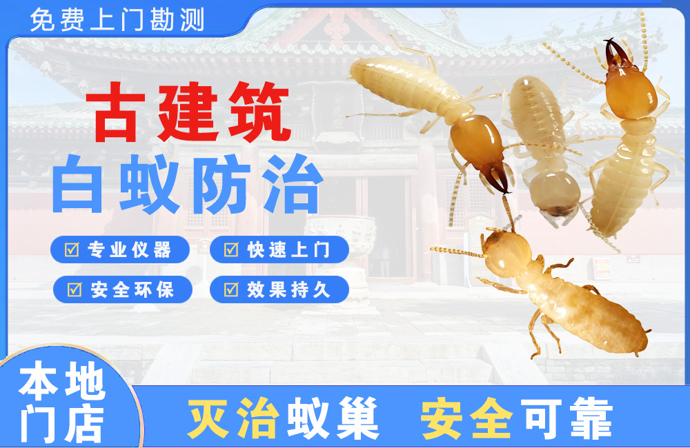 黔西南古建筑白蚁防治