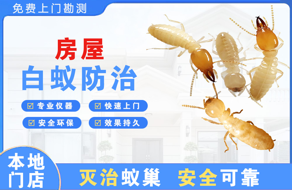 黔西南房屋白蚁防治